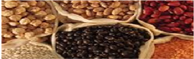 Indu 10