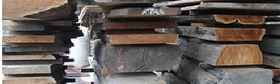 Indu 22